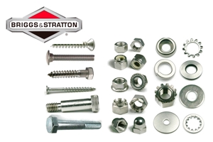 Tornillos y pernos para Briggs & Stratton